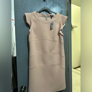 NWT Pale Pink shift Ann Taylor Dress Petite; Pristine condition